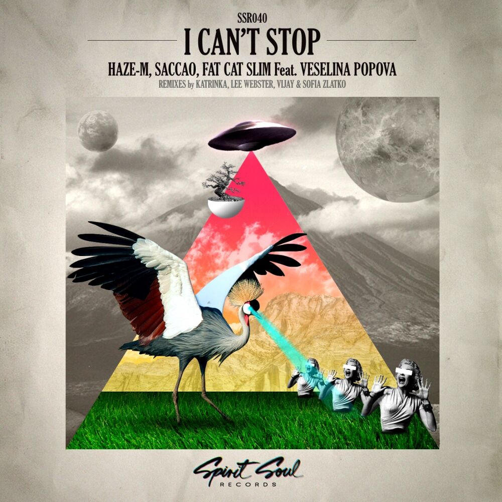 Picture of I Can't Stop