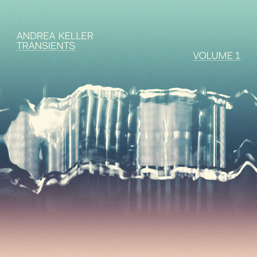 Picture of Transients, Vol. 1