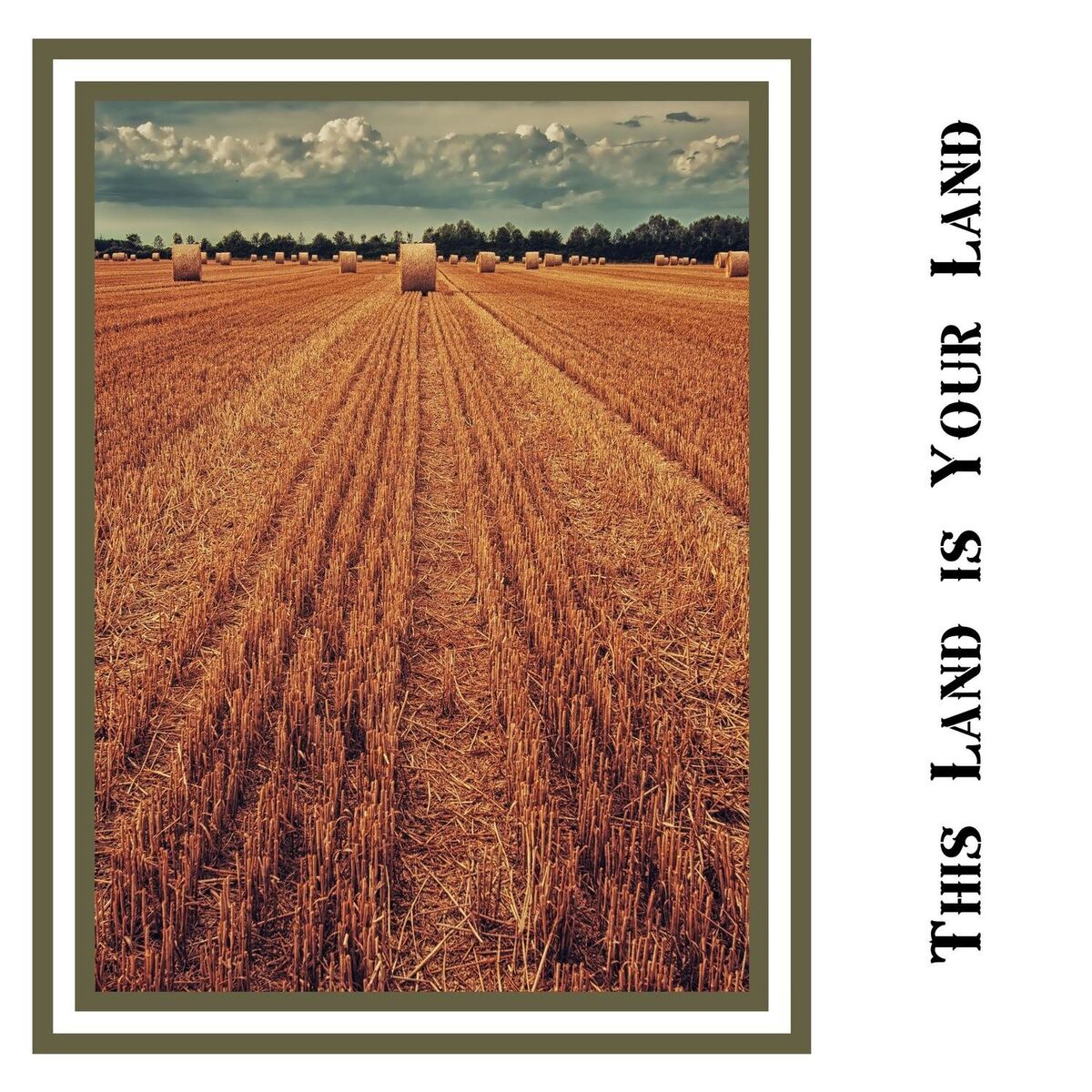 Album cover of This Land is Your Land