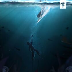 music cover