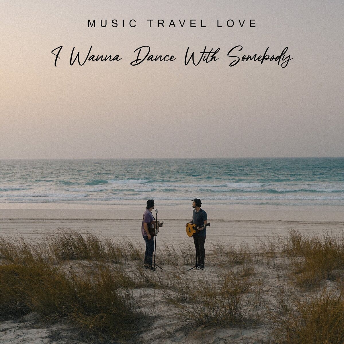 Album cover of I Wanna Dance With Somebody