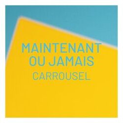 Cover of Maintenant ou jamais