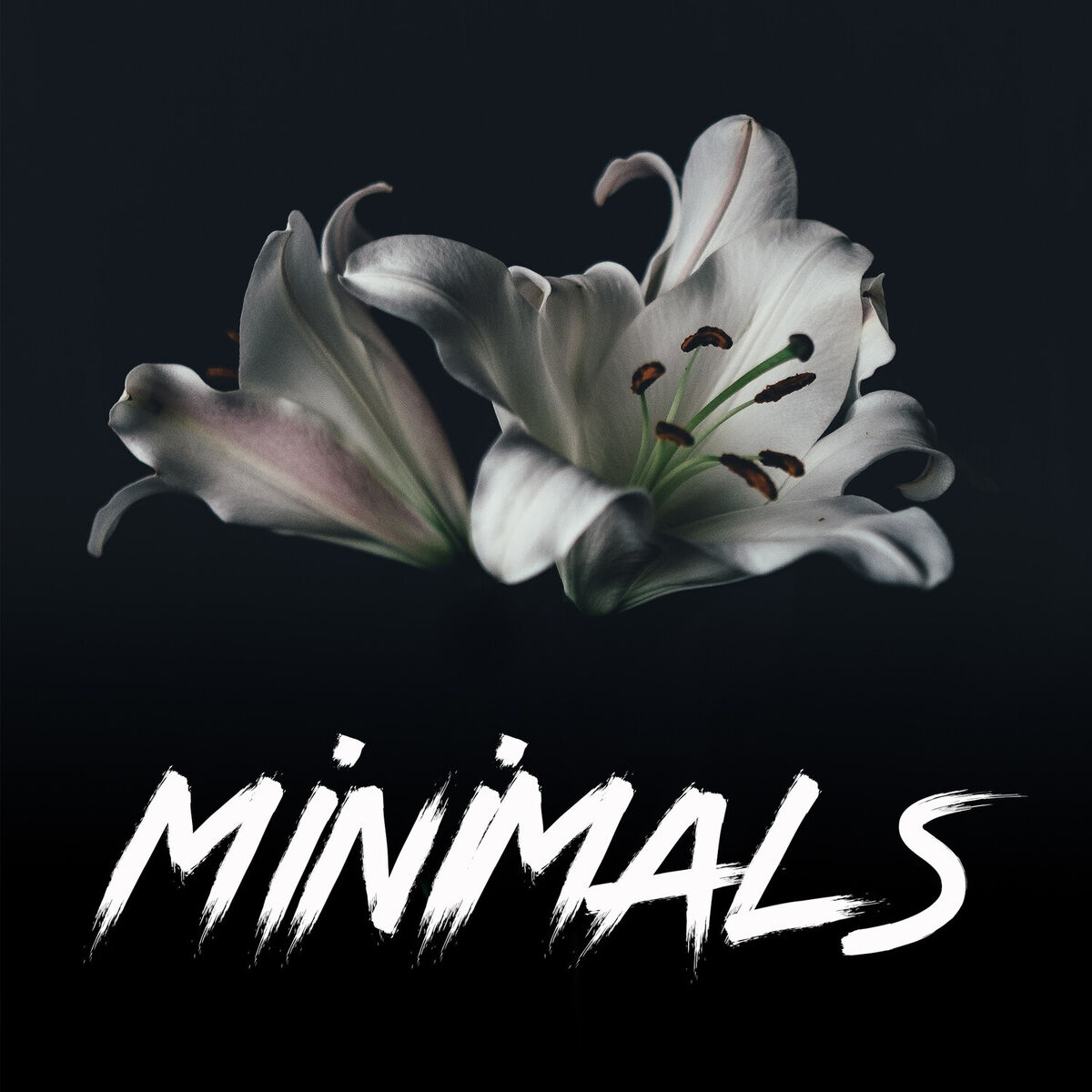Album cover of Minimals