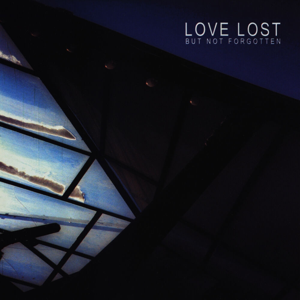 Picture of Love Lost but Not Forgotten