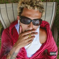 Cover of Beck Gordão