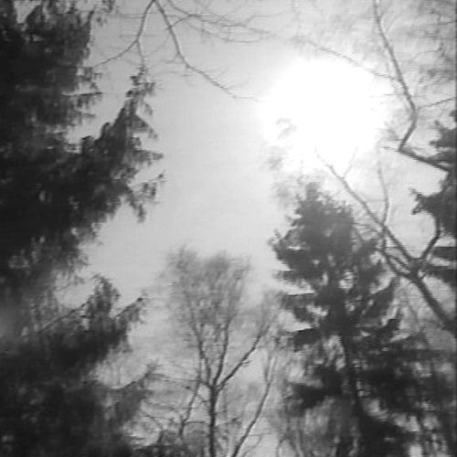 Mein Freund der Baum sleeve