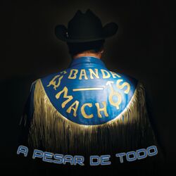 Cover of A Pesar de Todo