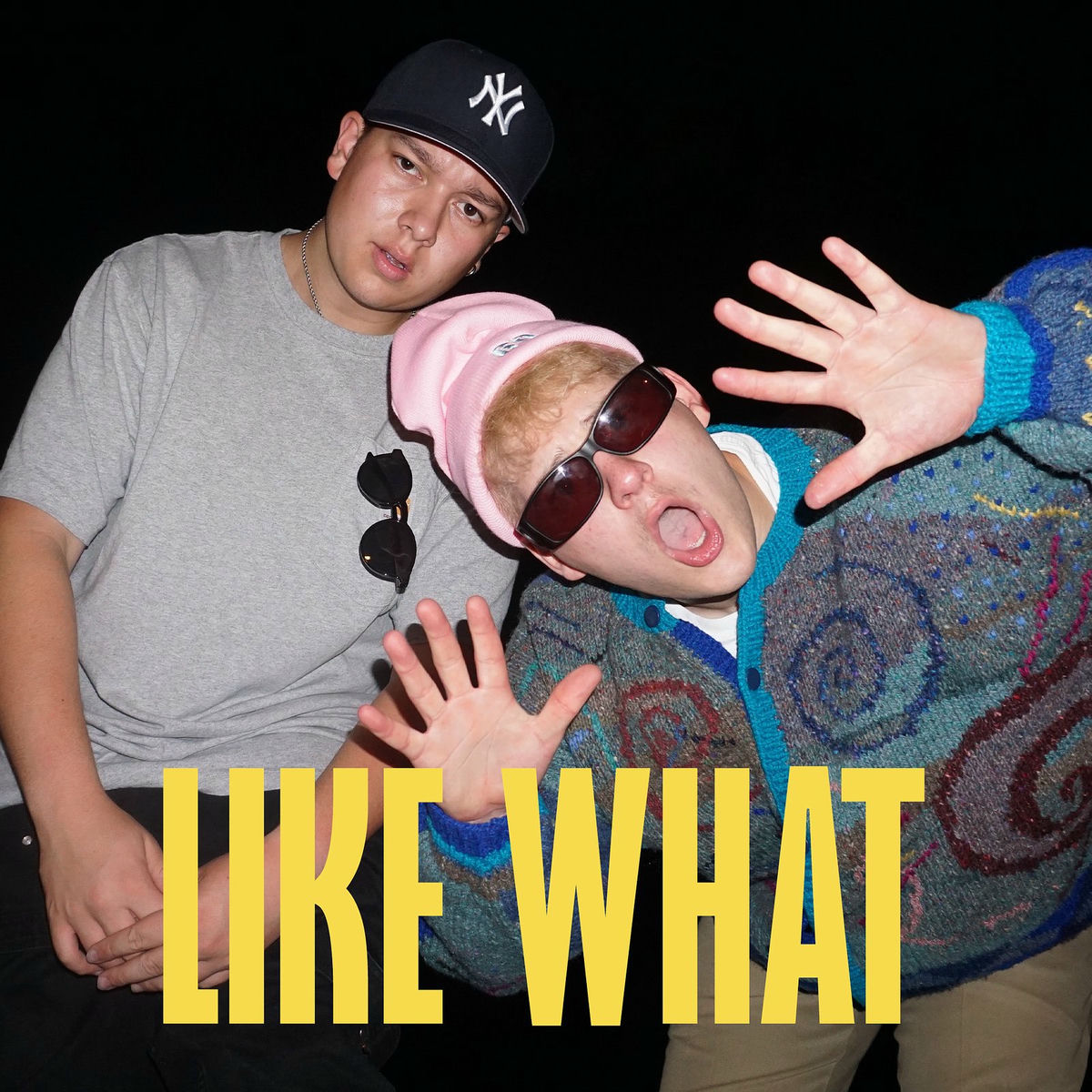 Album cover of Like What