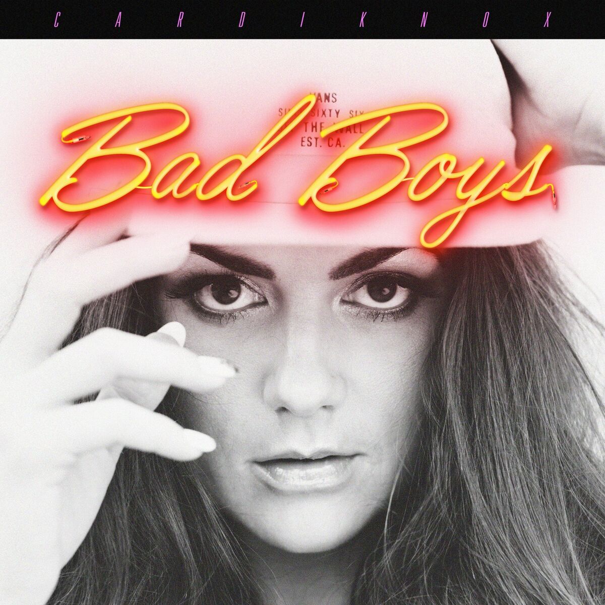 Album cover of Bad Boys