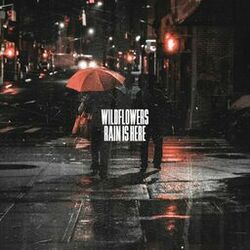 Cover of Rain Is Here