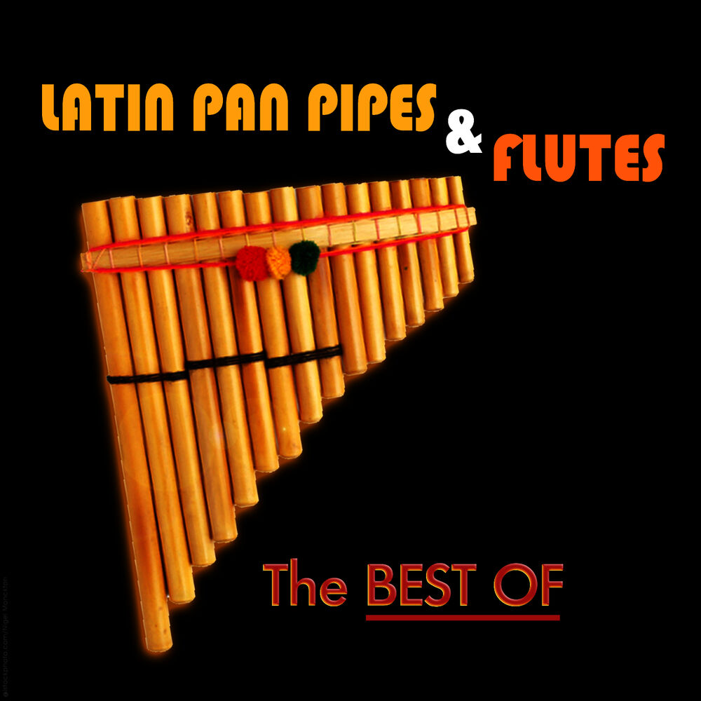 Picture of Latin Pan Pipes & Flutes