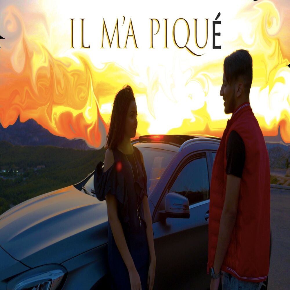 Picture of Il m'a piqué
