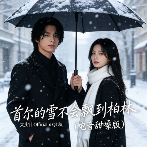 首尔的雪不会飘到柏林（电音甜嗓版）