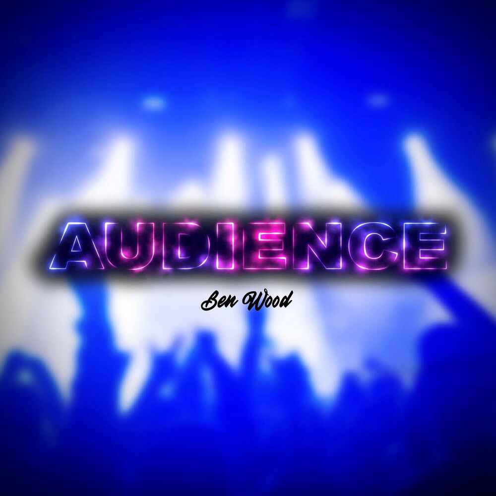 Picture of Audience