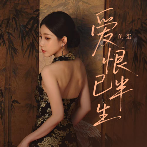 爱恨已半生