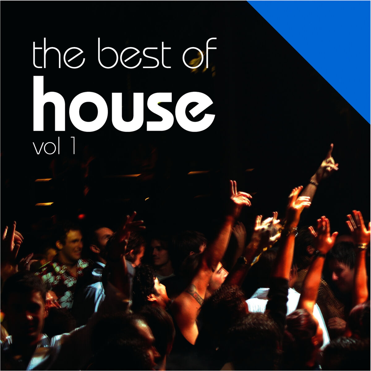 Album cover of The Best Of House
