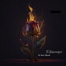 Cover of Te Desconozco (Remix)