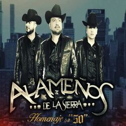 Cover of Homenaje Al '50' En Vivo