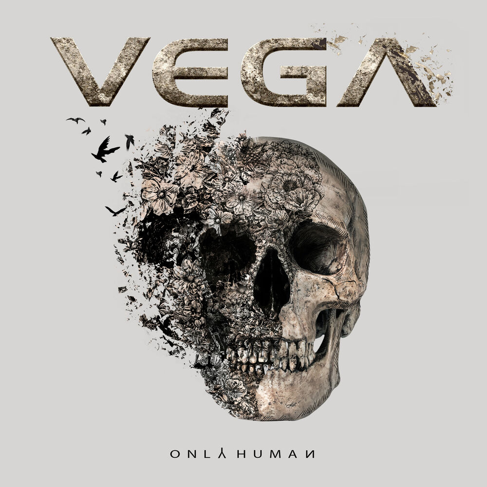 Picture of Only Human