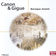 Concerto grosso in G Minor, Op. 6 No. 8, 