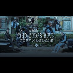 Cover of Apedrill