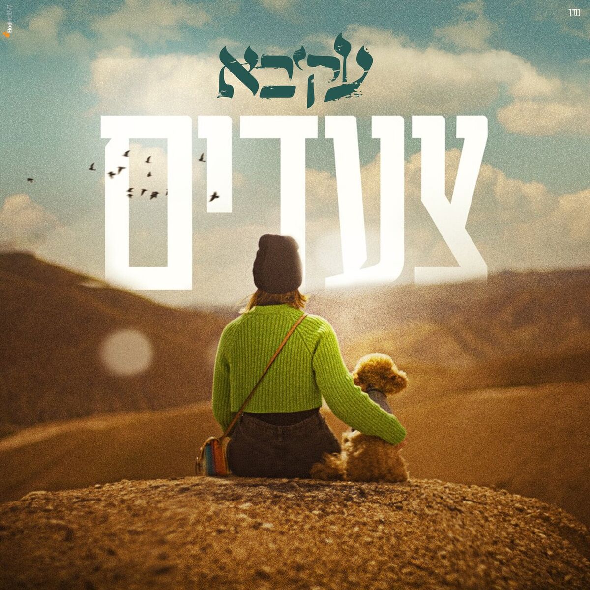 Album cover of צעדים