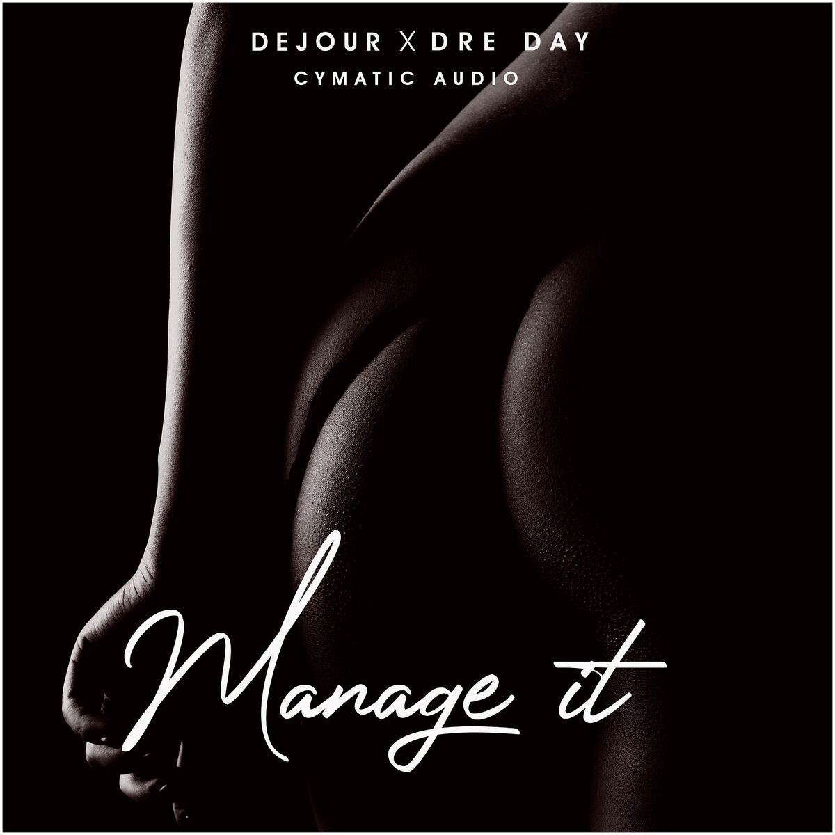 Album cover of Manage It