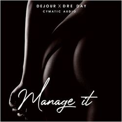 Cover of Manage It