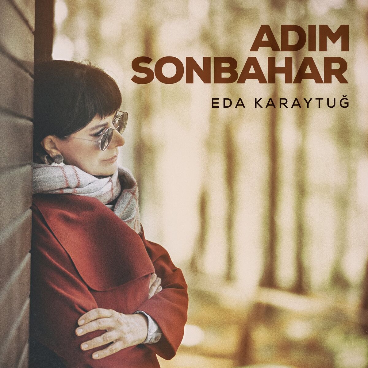 Album cover of Adım Sonbahar