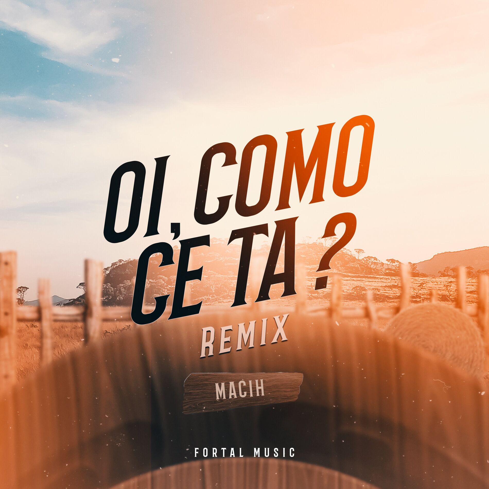 Album cover of Oi, Como ce Tá? (Remix)