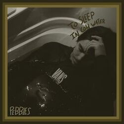 Cover of To Sleep In Cold Water