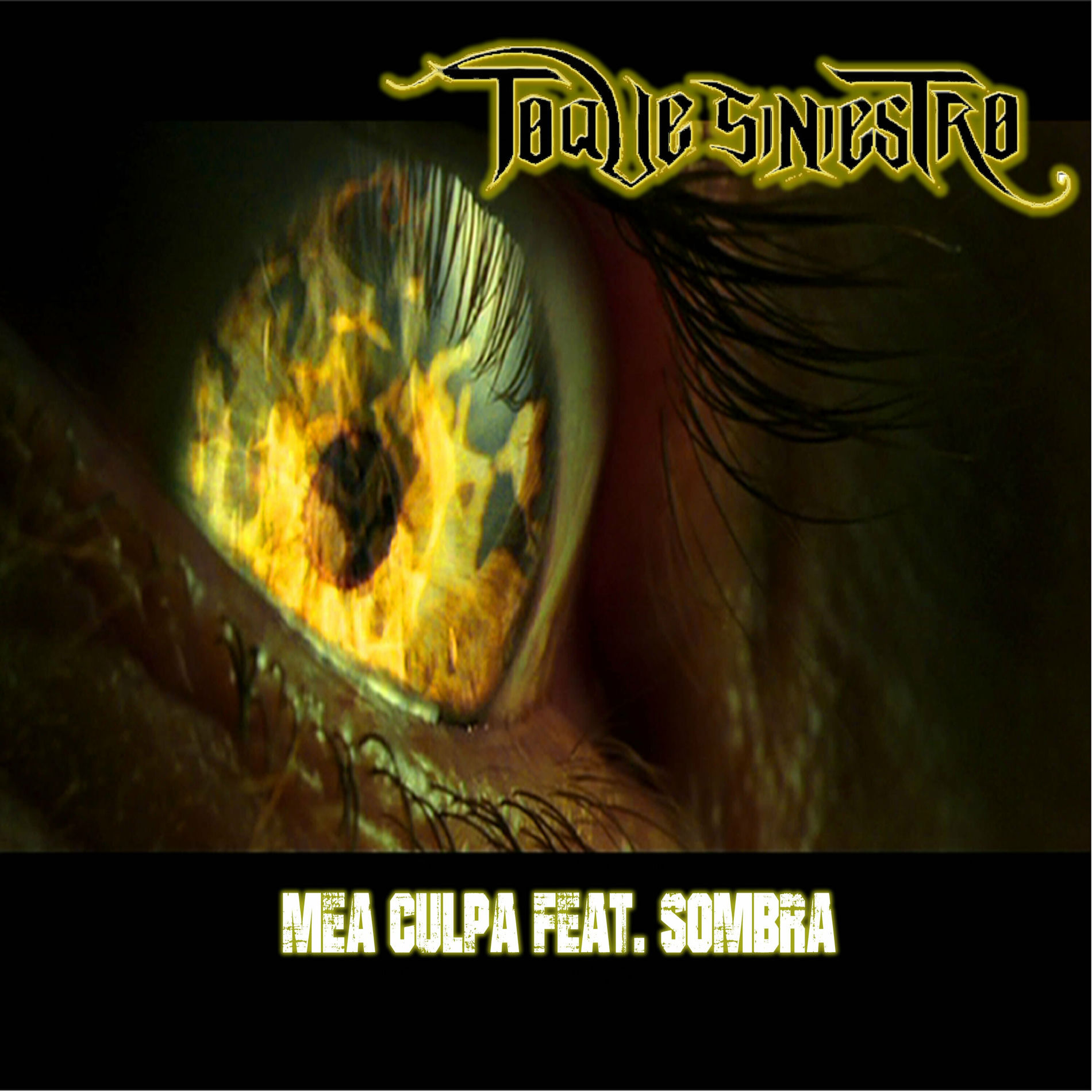 Album cover of Mea Culpa