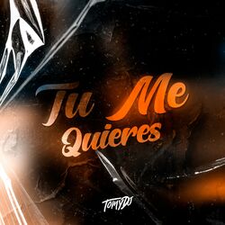 Cover of Tu Me Quieres (Afrohouse)