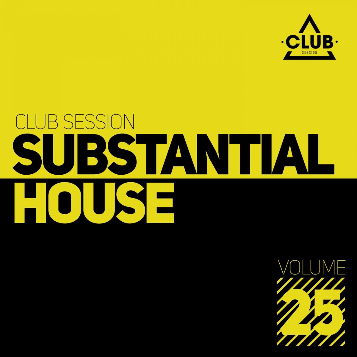 Album cover of Substantial House, Vol. 25