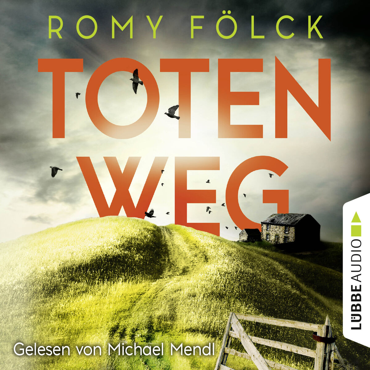 Album cover of Totenweg - Elbmarsch-Krimi, Teil 1 (Gekürzt)