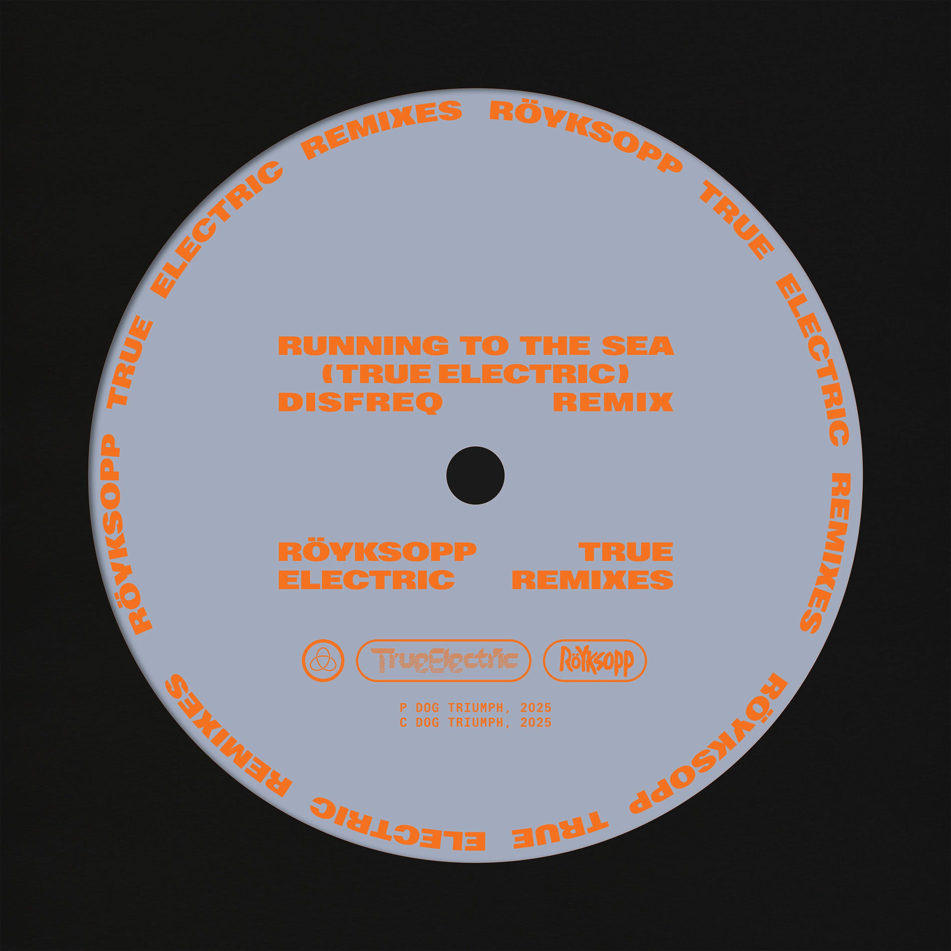Album cover of Running To The Sea (Disfreq Remix)