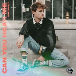 Cover of Can You Hear Me