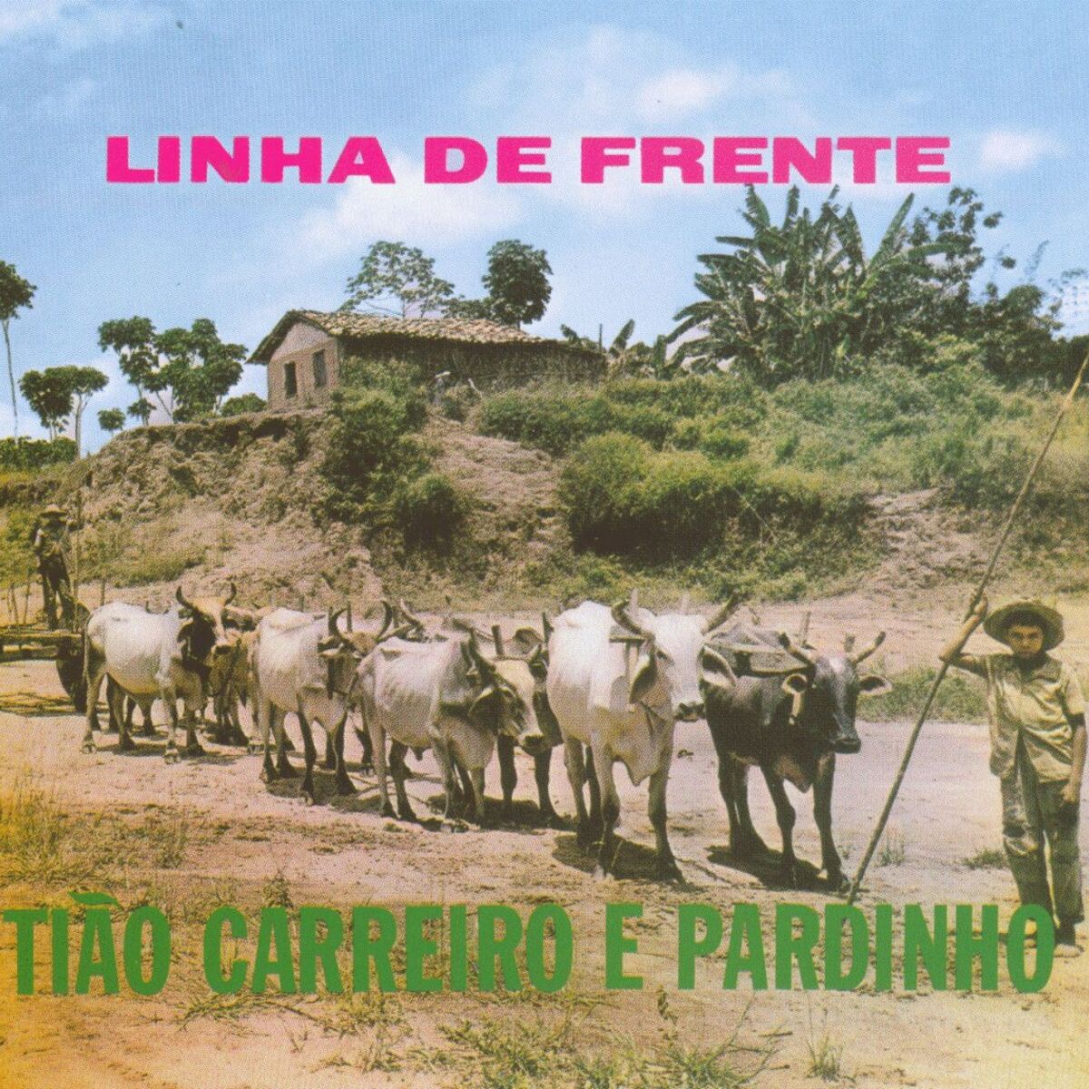 Album cover of LInha de Frente