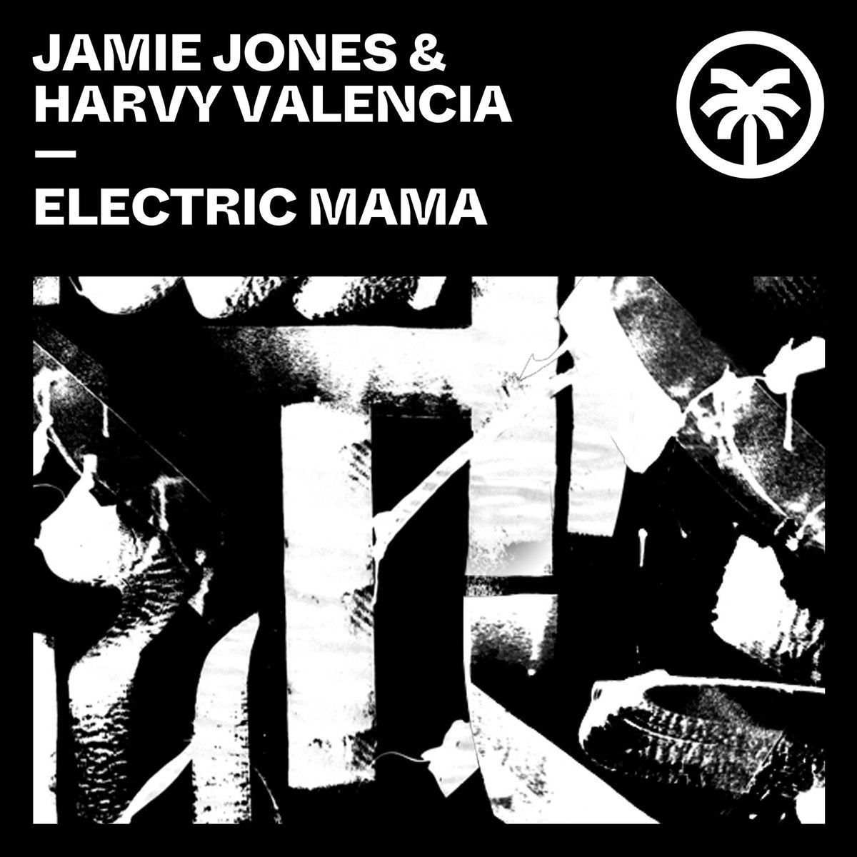 Album cover of Electric Mama