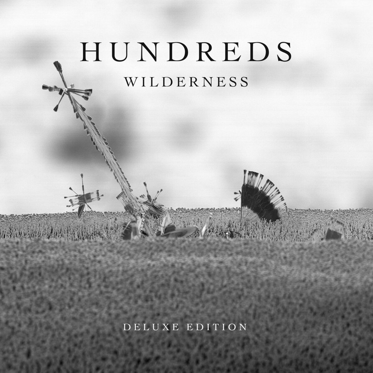Album cover of Wilderness (Deluxe Edition)