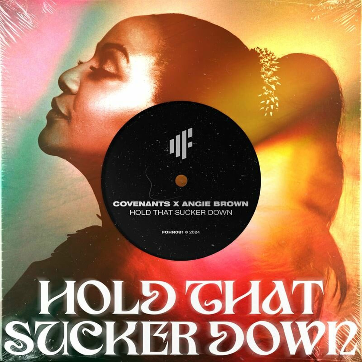 Album cover of Hold That Sucker Down