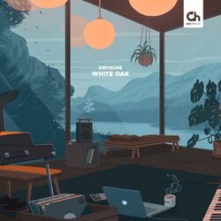 music cover
