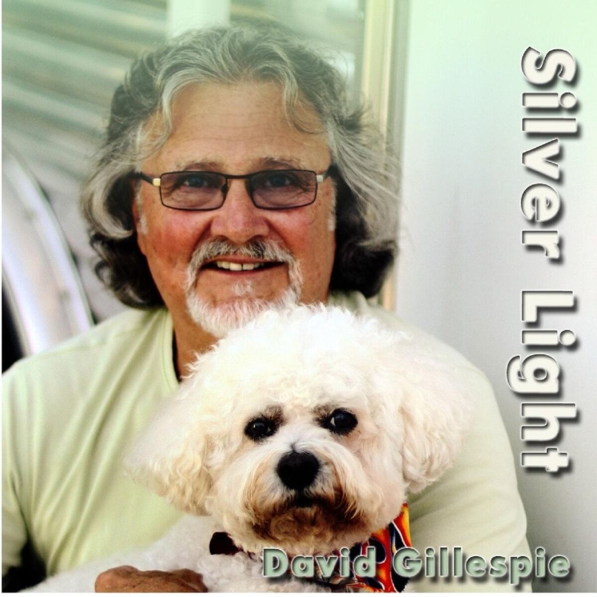 Album cover of Silver Light