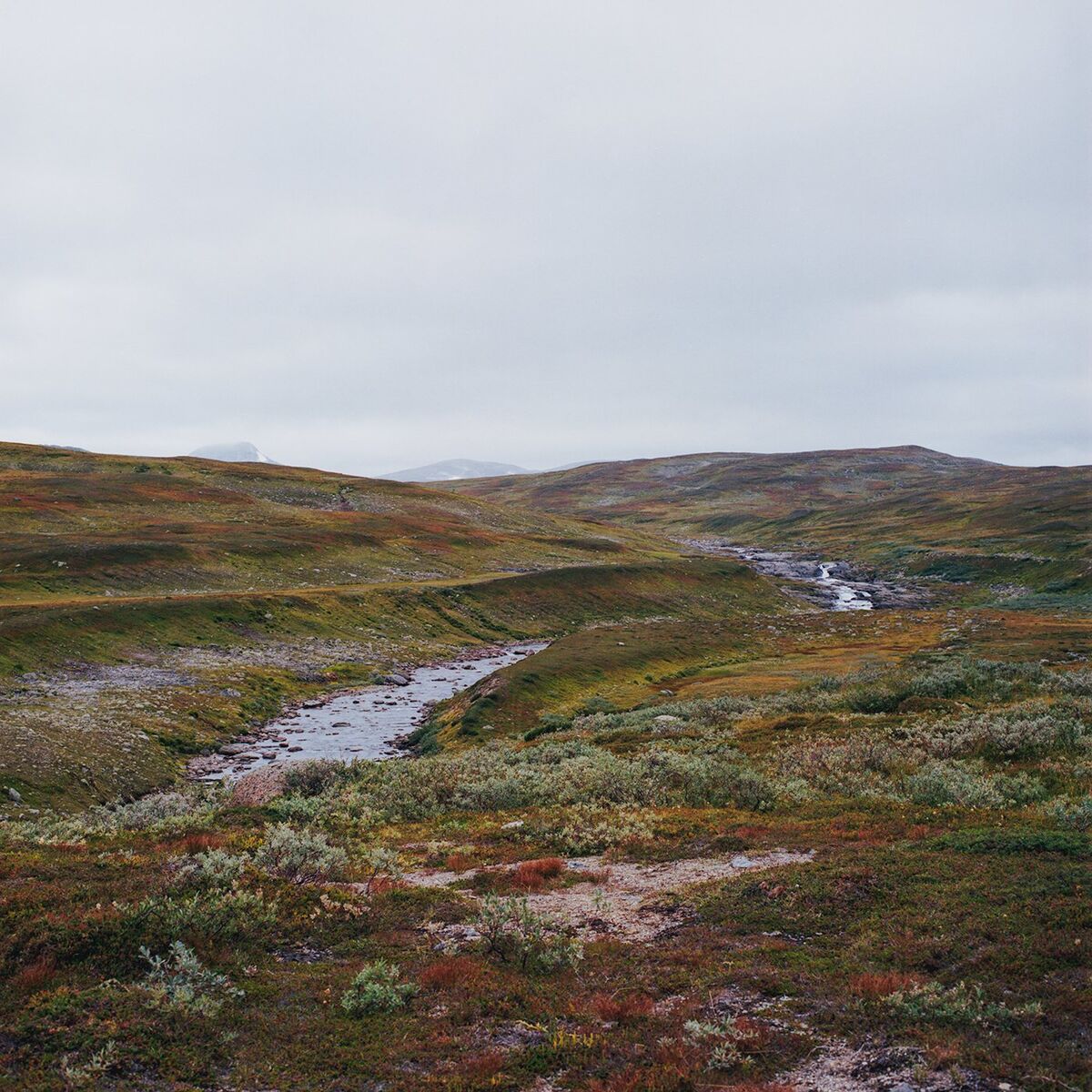 Album cover of Bleak