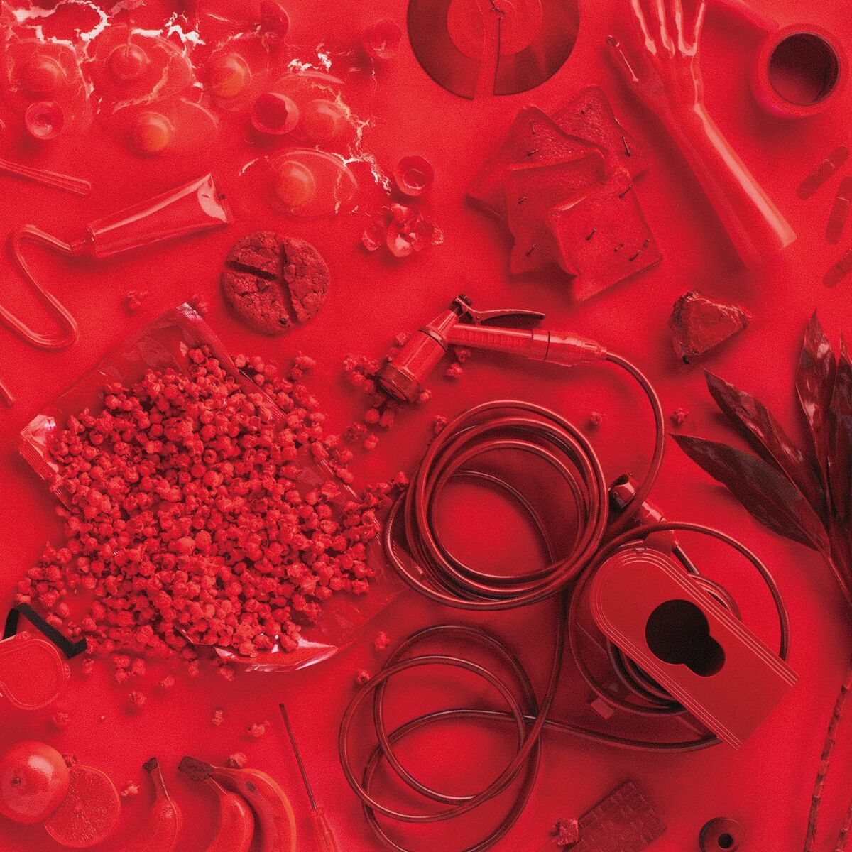Album cover of Excitement of Youth
