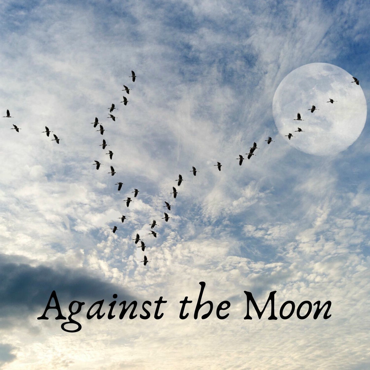 Album cover of Against the Moon