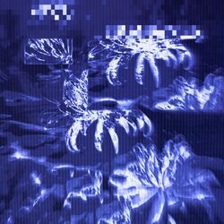 Cover of Eclipse Theory