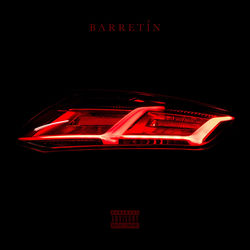 Cover of Audi by undefined