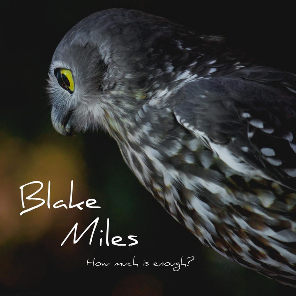 Album artwork for Blake Miles - Lost in my Skin by Blake Miles
