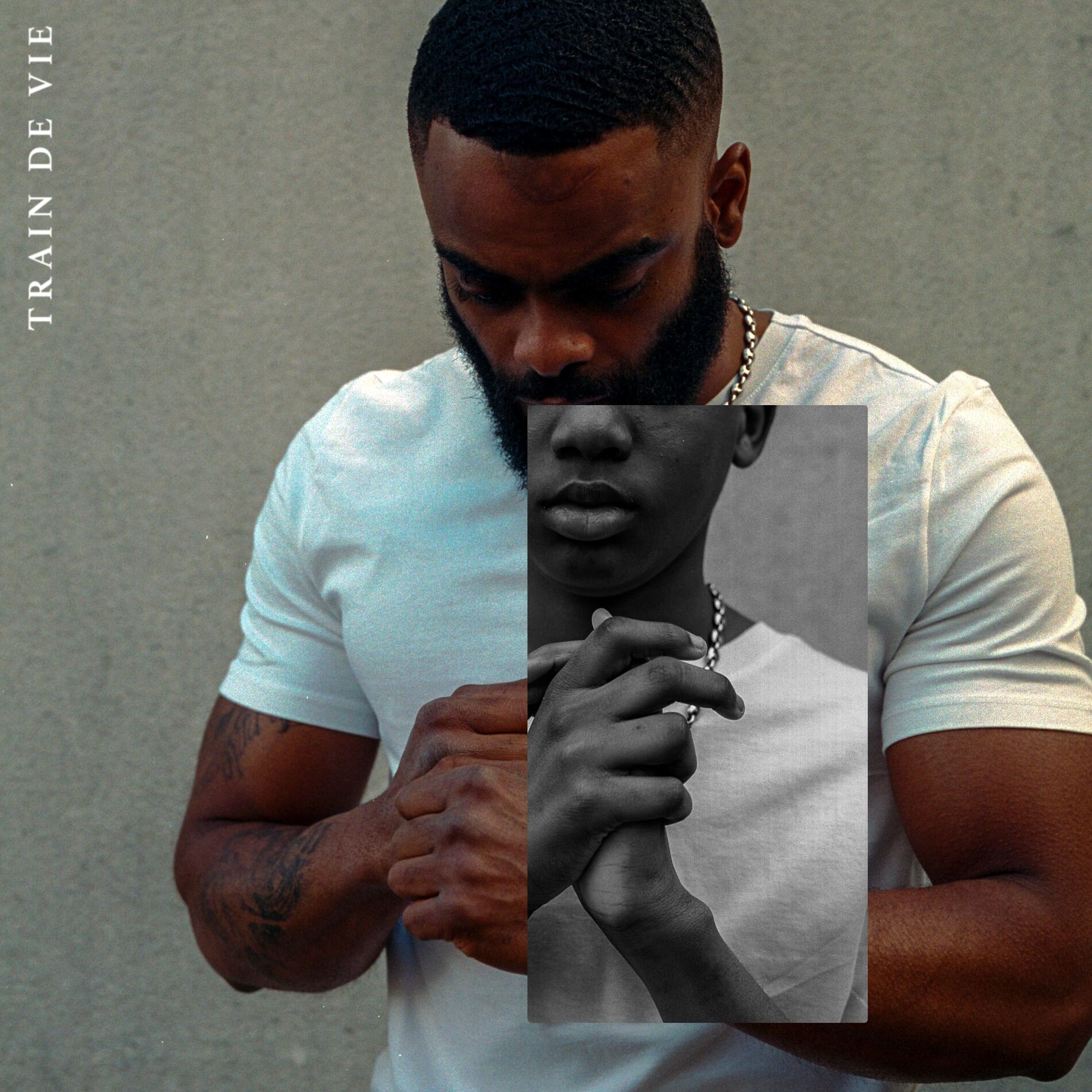 Album cover of SIM